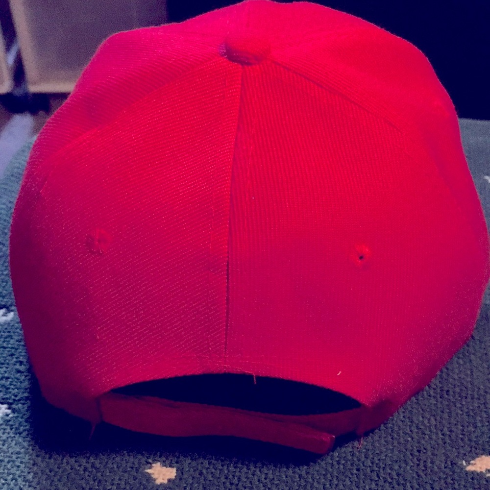 Chicago Dogs hat - Picture 3 of 4